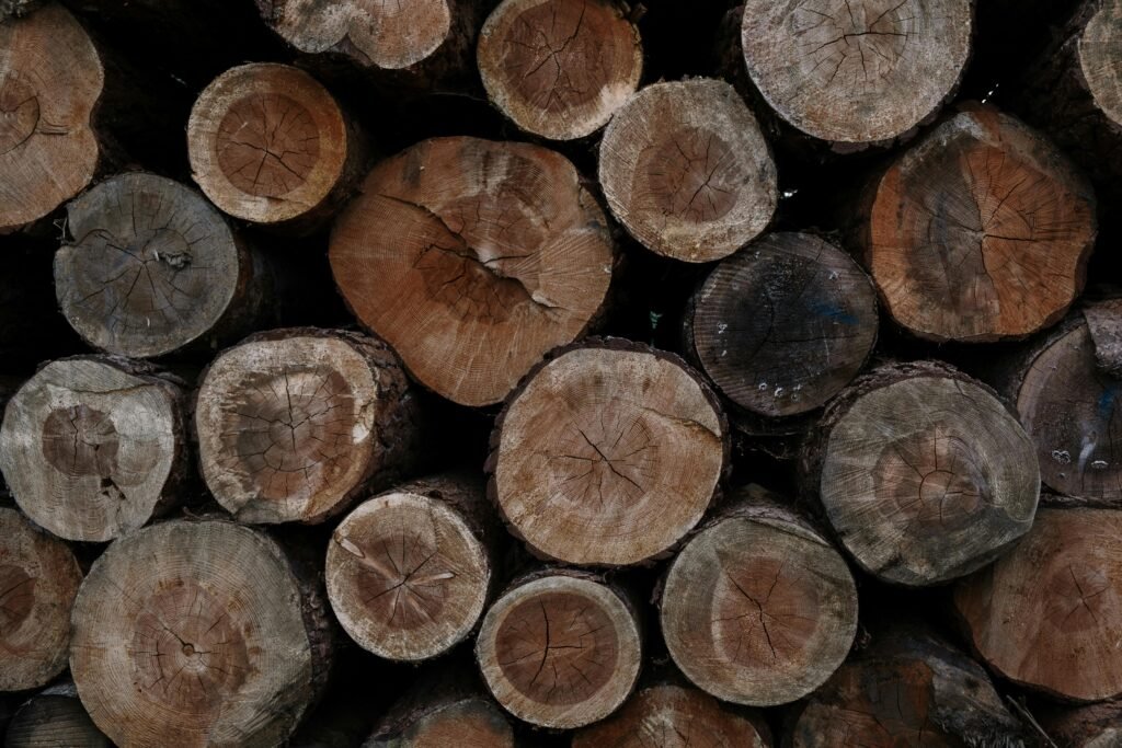 pexels-photo-5582487-5582487 Close-up of stacked wooden logs, ideal for firewood or construction material.